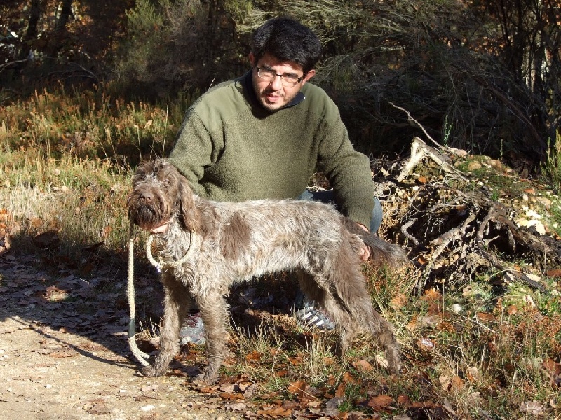 FRIPOUILLE DU BORDS DU DAN
